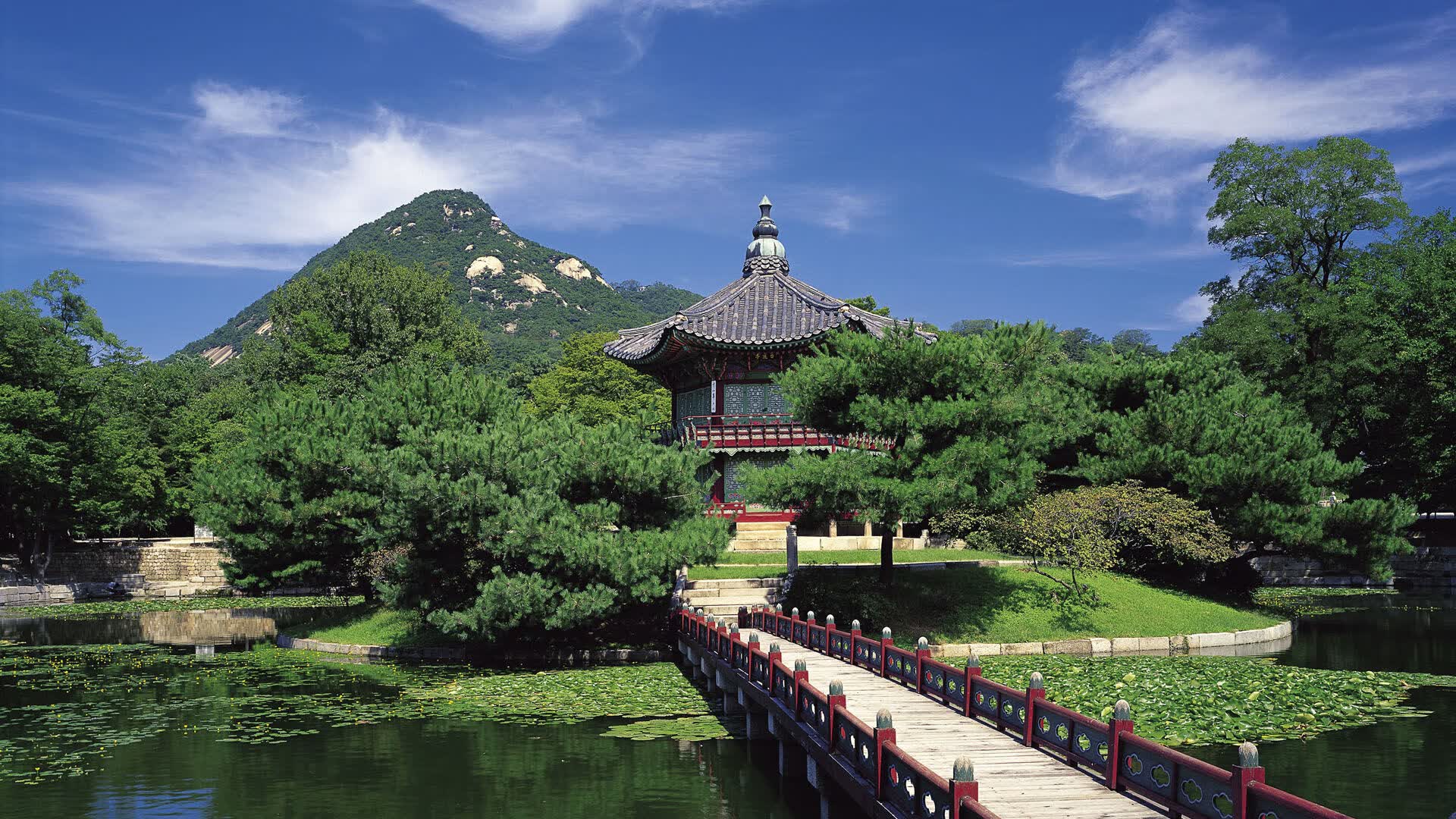 世界登山青年营救援演练月总结：能力提升成果显著，登山竞赛活动
